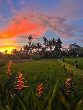 1 Bedroom by the Rice Fields Escape - Pika Villa
